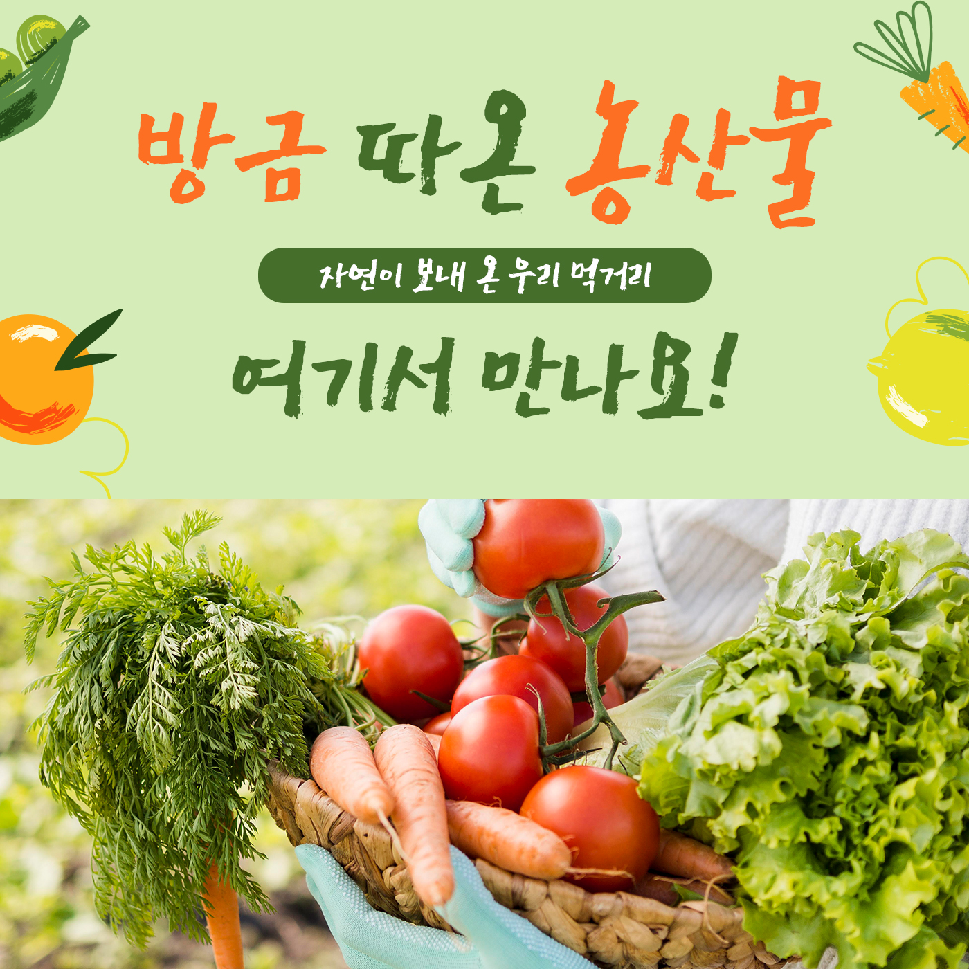 국내산 농산물